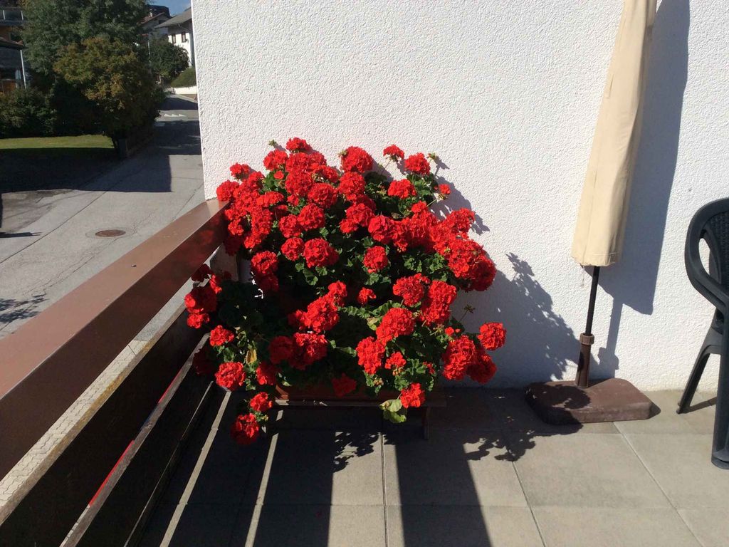 Ferienwohnung mit großer Terrasse im Stubaital