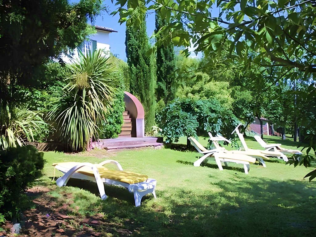 Ferienhaus umgeben von Olivenhainen und Pinienwald