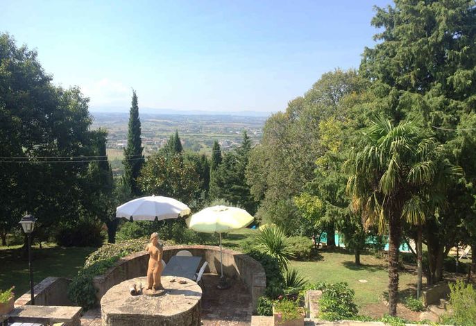 Villa umgeben von Olivenhainen und Pinienwald – Foto 5