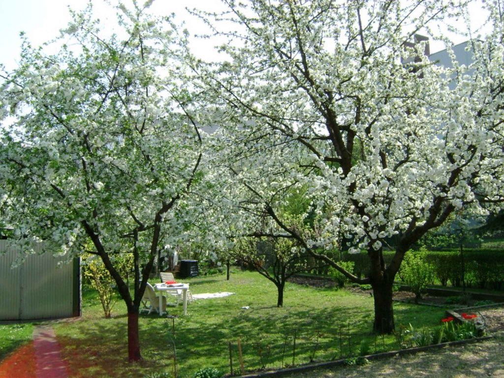 Ferienhaus mit Garten in toller Lage und bürgerlichem Chrame