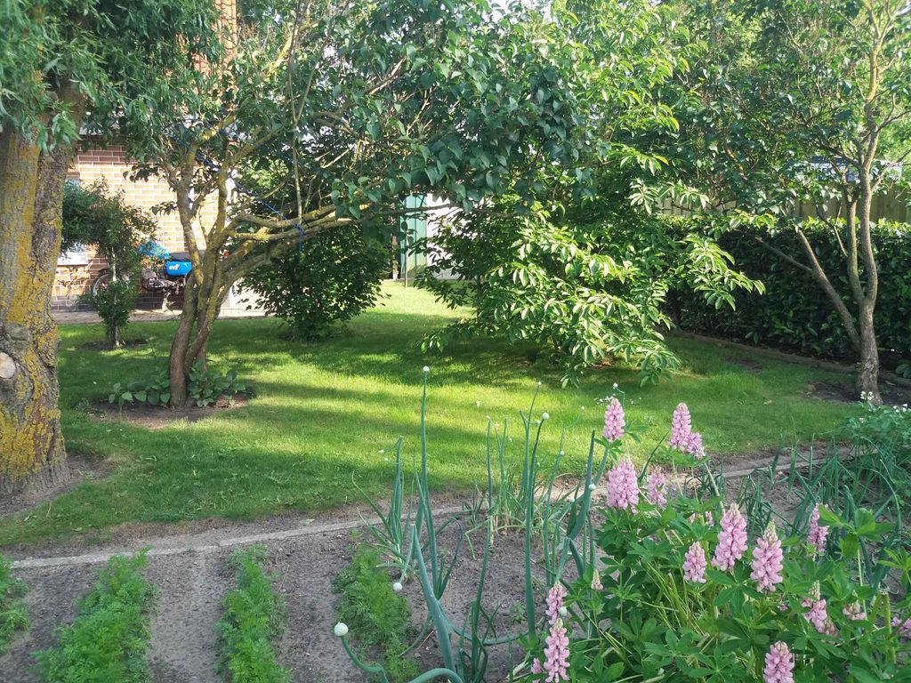 Studio mit Grillmöglichkeit im Garten