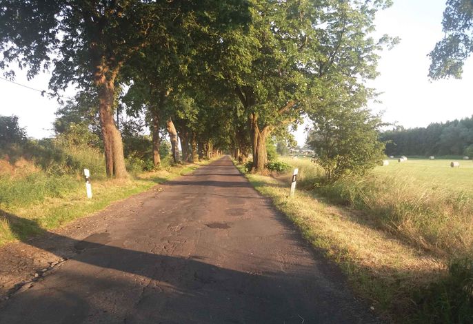 Bild 19