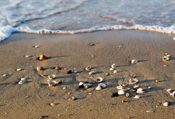 Bild 30