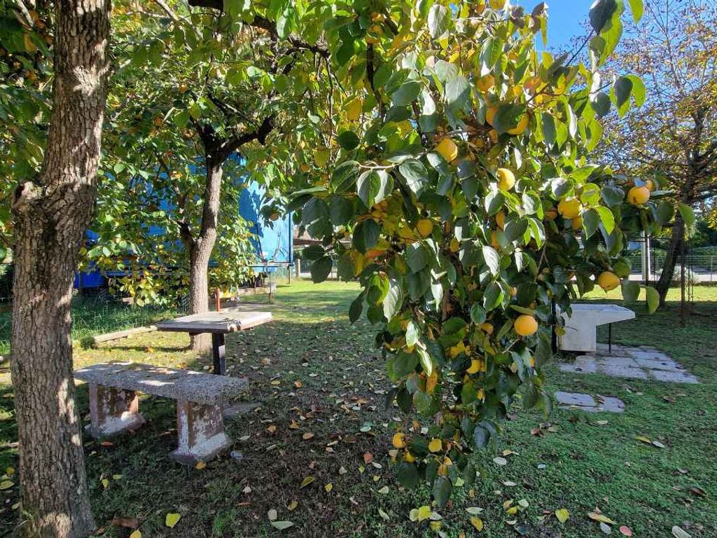 Ferienwohnung mit Gemeinschaftsgarten