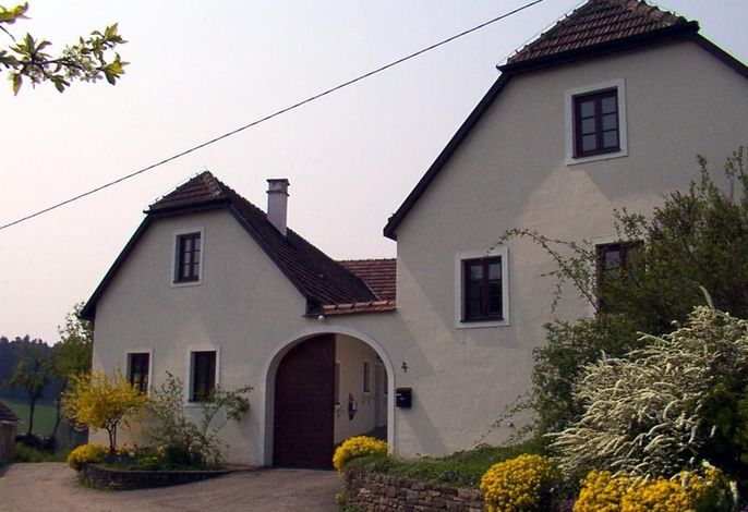 Hauptbild