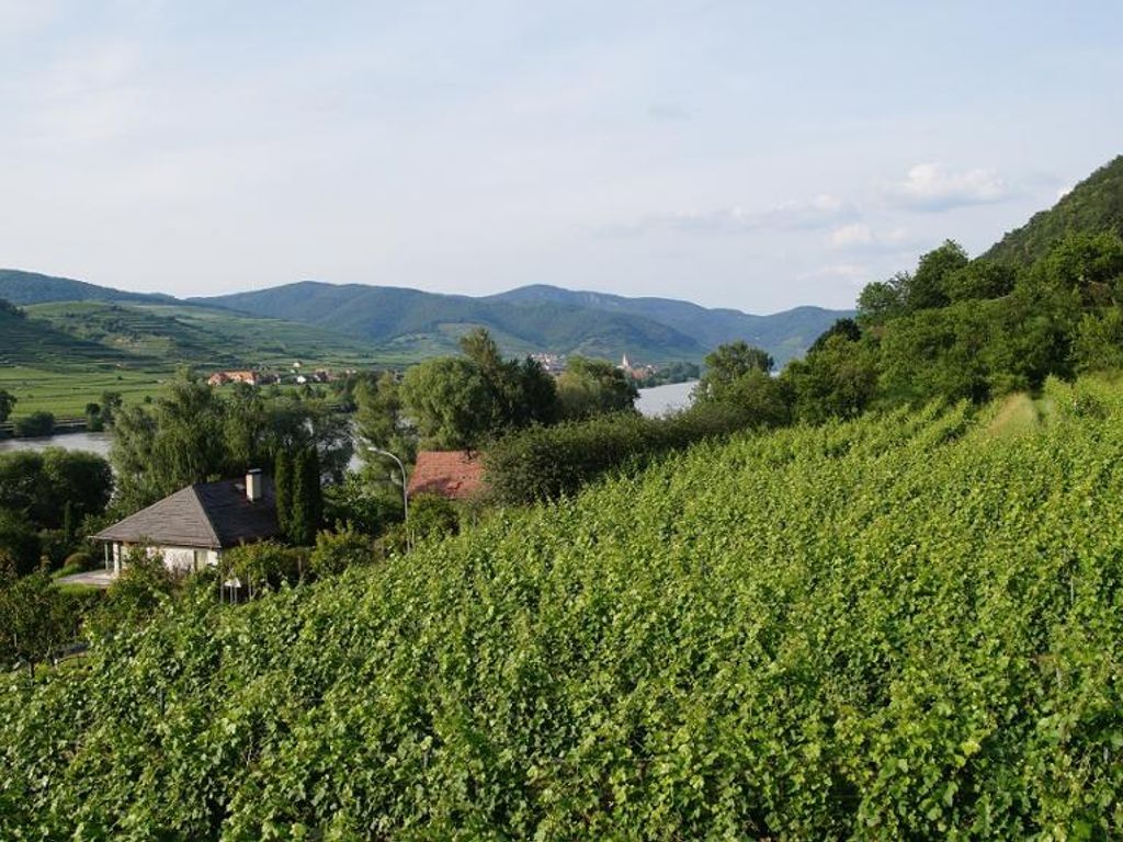 Weingut Pammer von der Rückseite