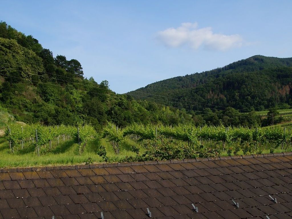 Ausicht Balkon