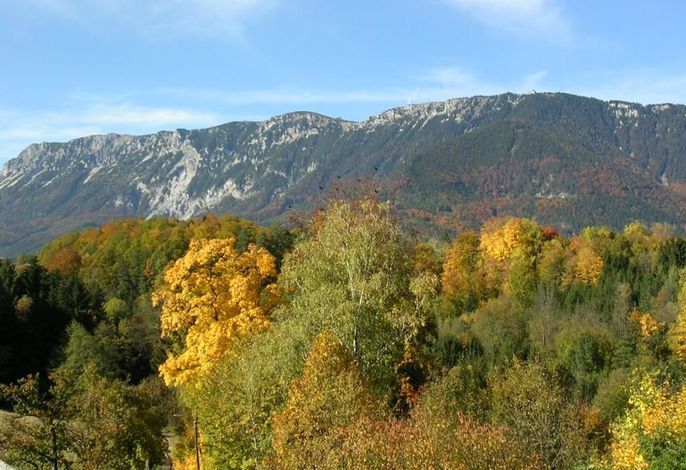 Bild 14