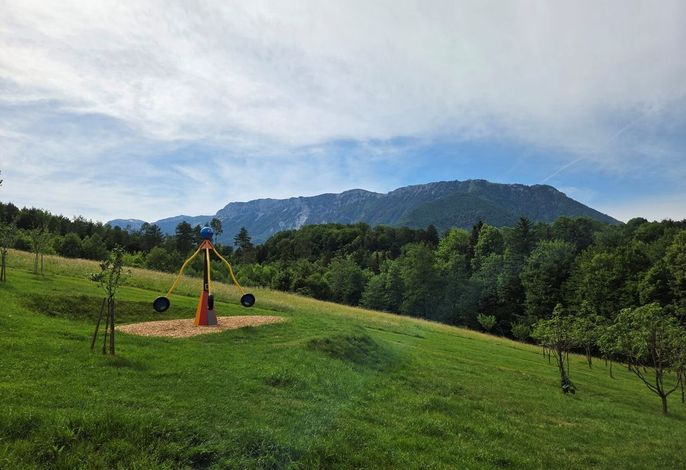 Bild 19
