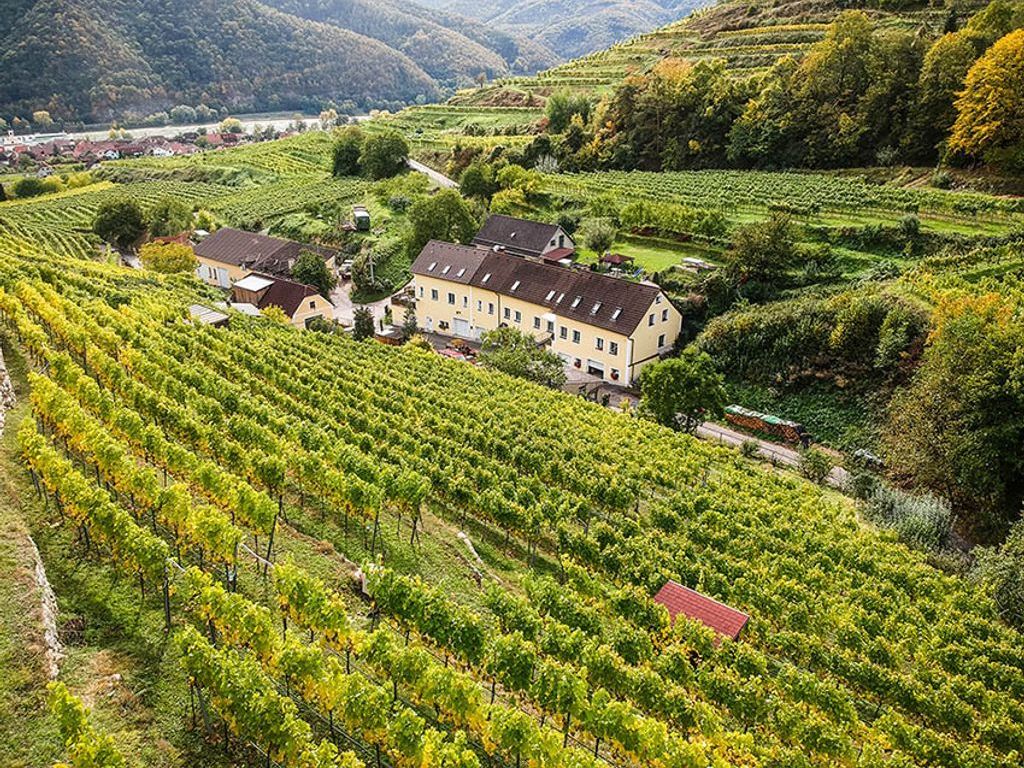 Winzerhof Weidenauer