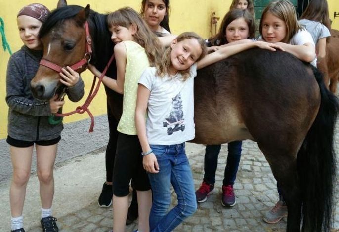 Bild 7