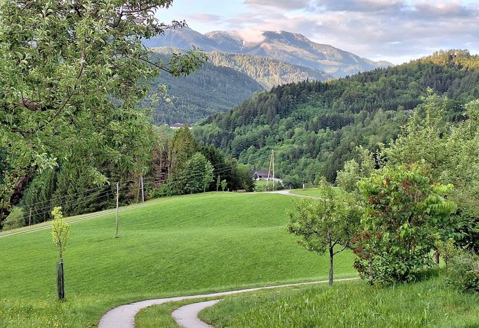 Bild 8