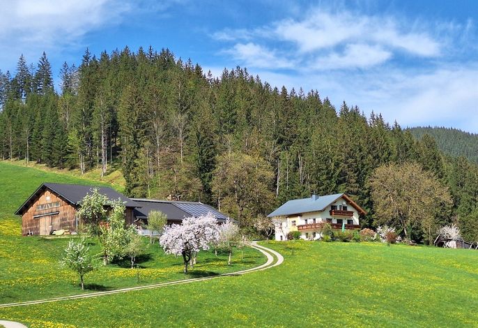 Biobauernhof Poidlbauer