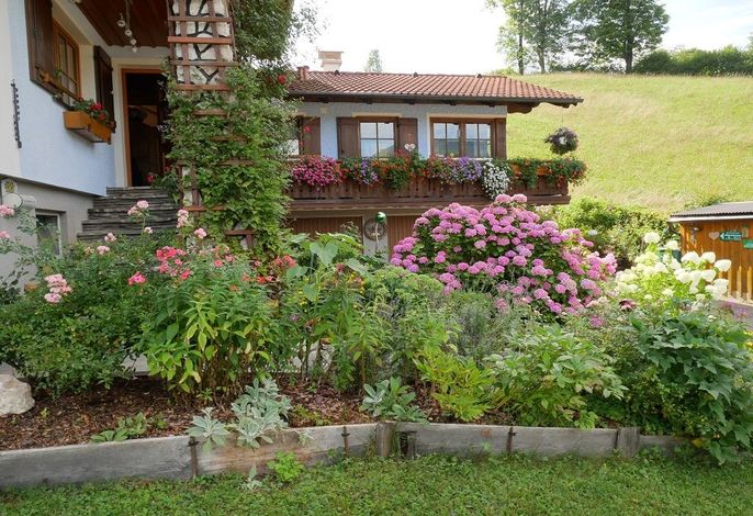Bild 14