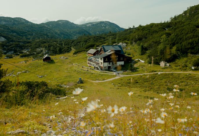 Bild 23