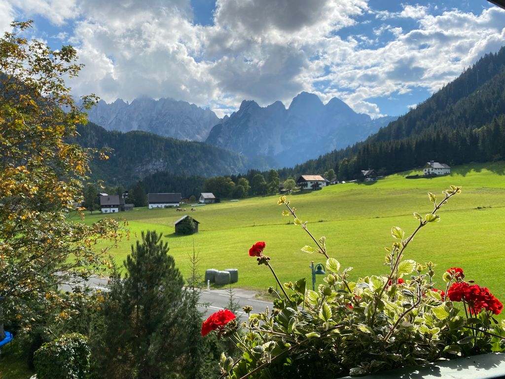 Ausblick, Apartment Nesterl