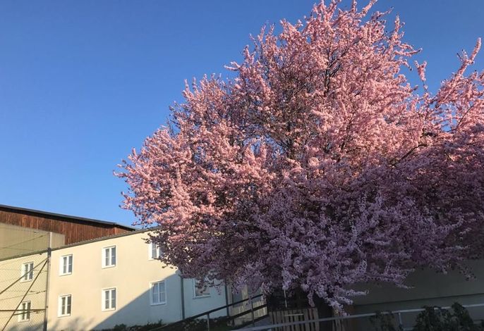 Bild 14