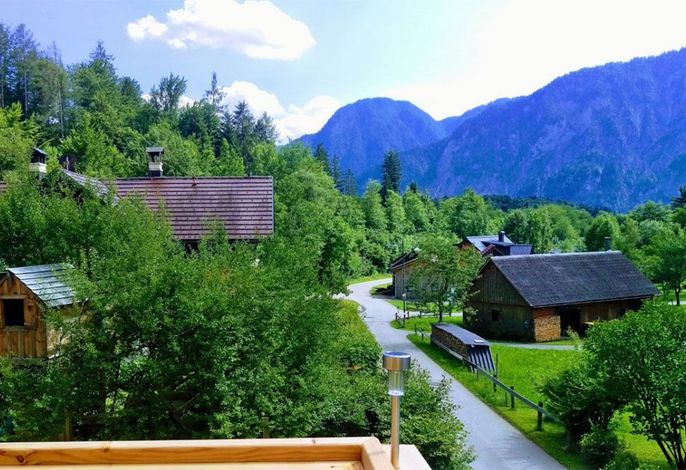 Bild 15