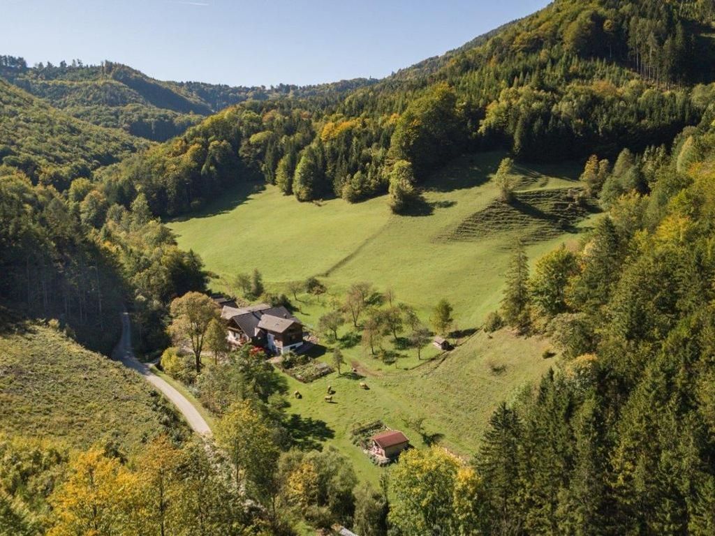 biohof_lueg_mitten_im_wald