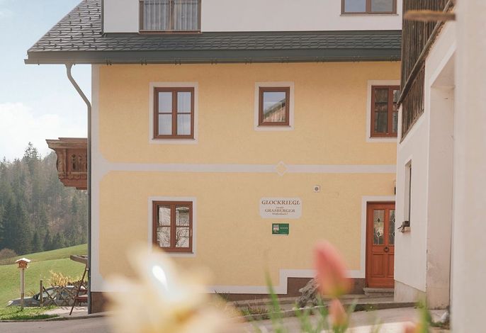 Bild 41