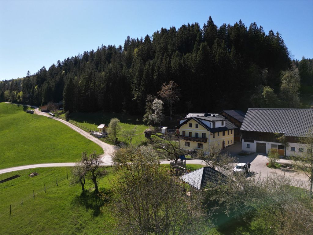 Hausansicht im Sommer