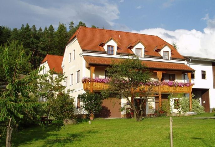 Bild 19
