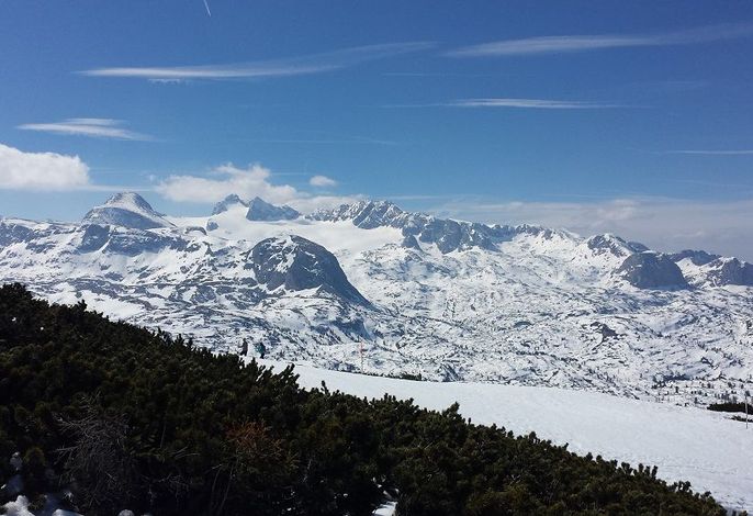 Bild 12