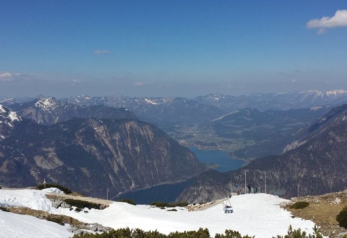 Bild 11