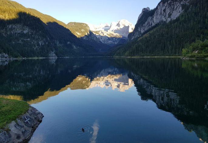 Bild 14