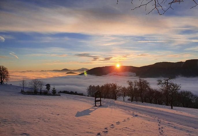 Bild 18