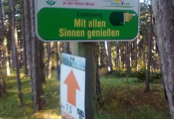 Bild 34