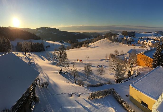 Bild 16