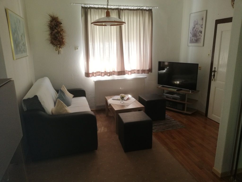 Der Wohnraum mit Sofa und Fernseher.