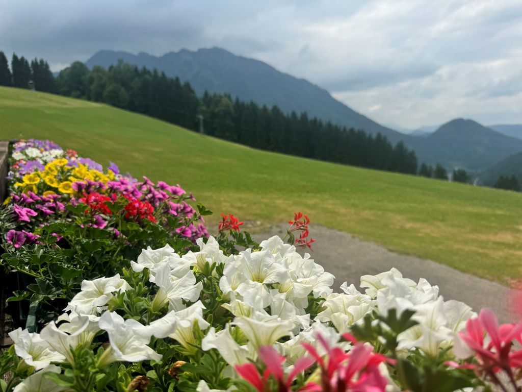 Urlaub am Moaserhof