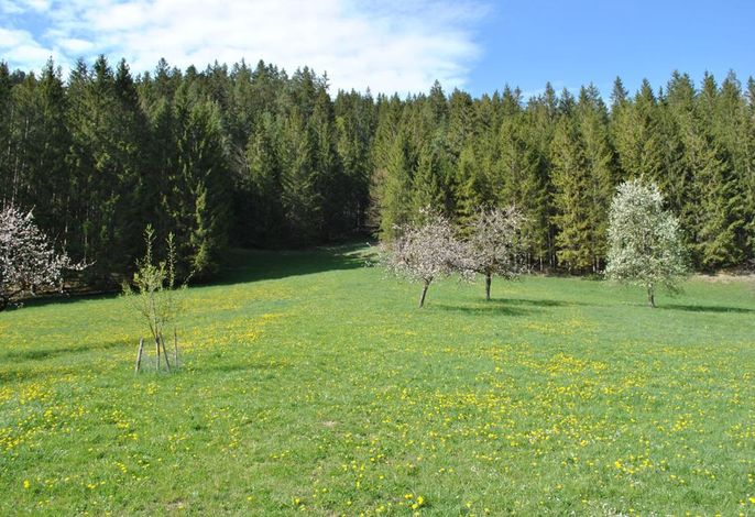 Bild 45