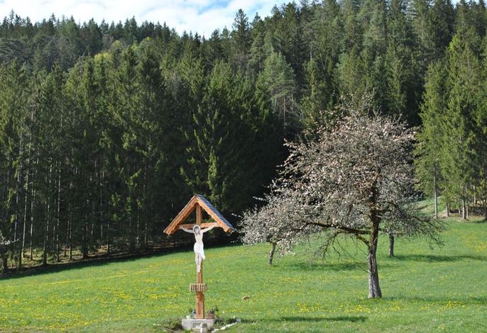 Bild 44