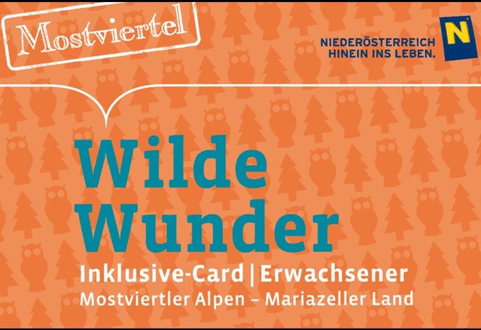 Bild 26