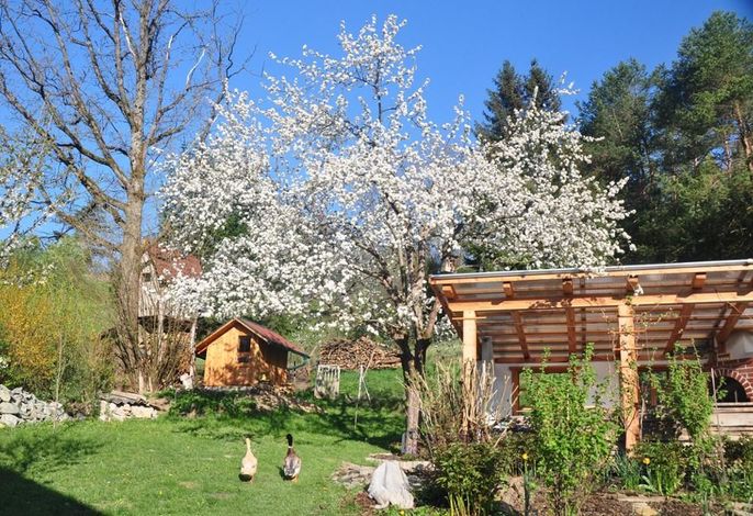 Bild 18