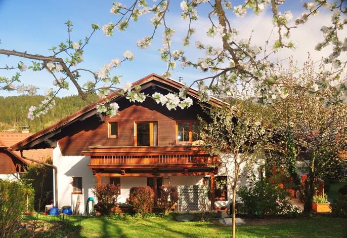 Bild 19