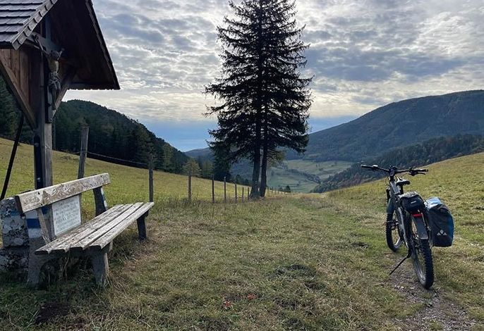 Bild 16