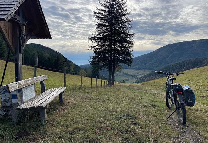 Bild 16
