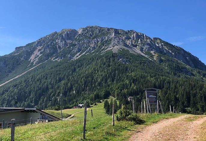 Bild 17