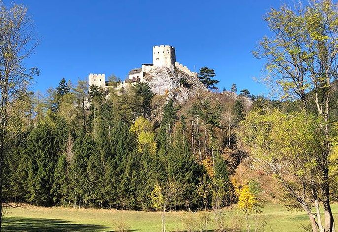 Bild 15