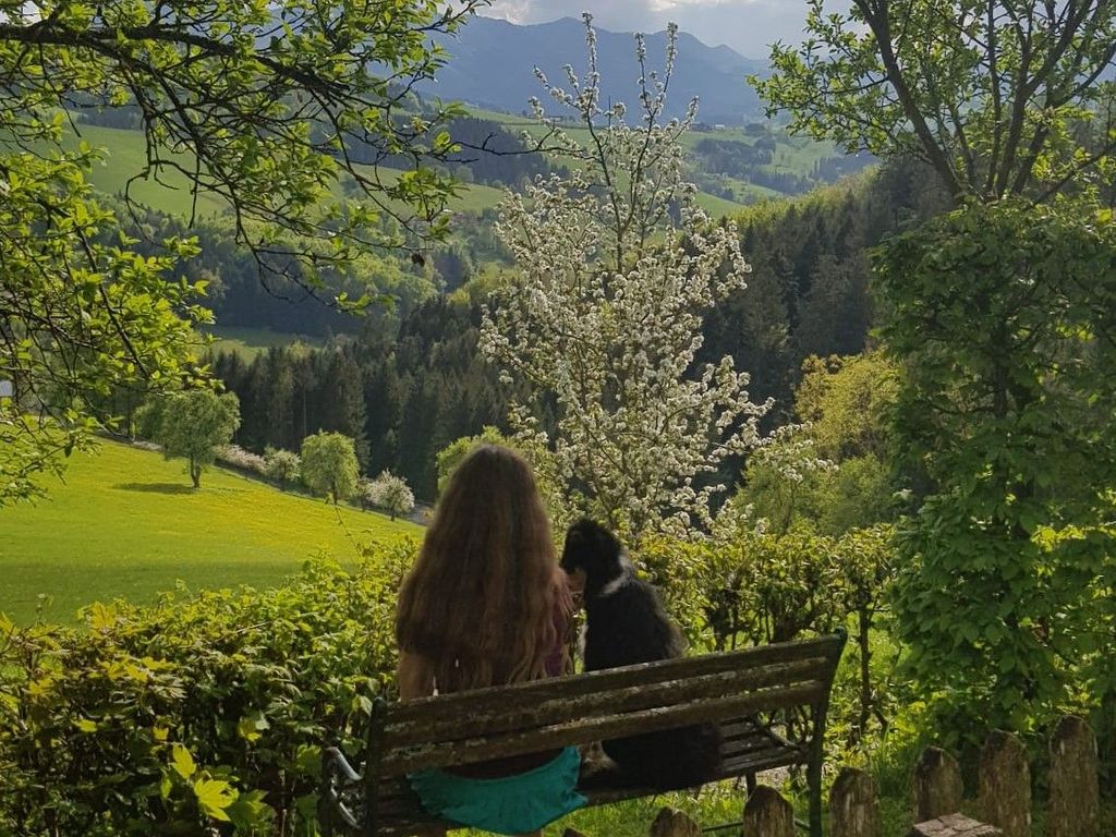 Naturparadies am Sonntagberg
