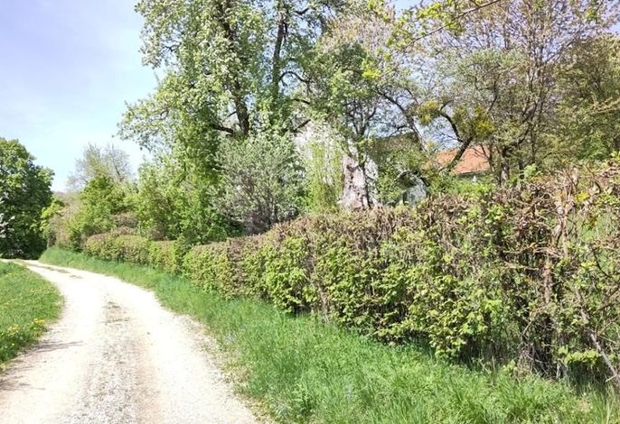 Bild 15