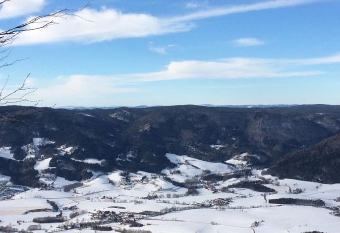 Bild 12