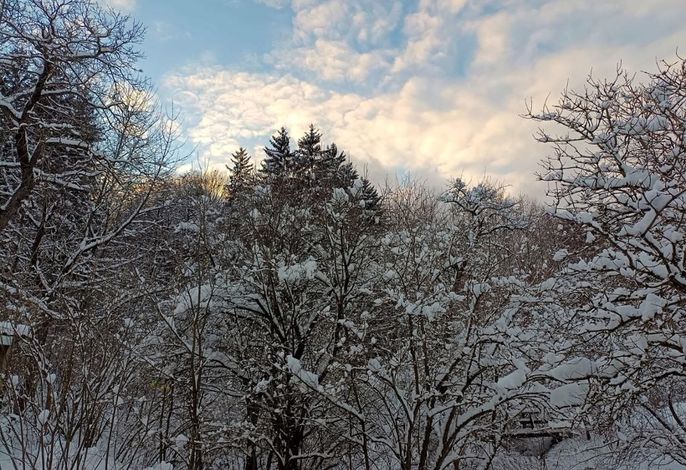 Bild 14