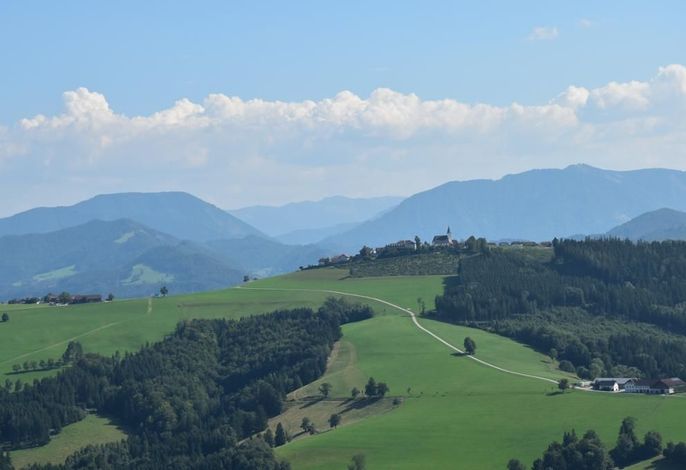 Bild 15