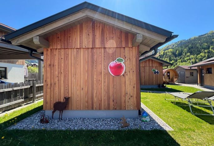 Bild 11
