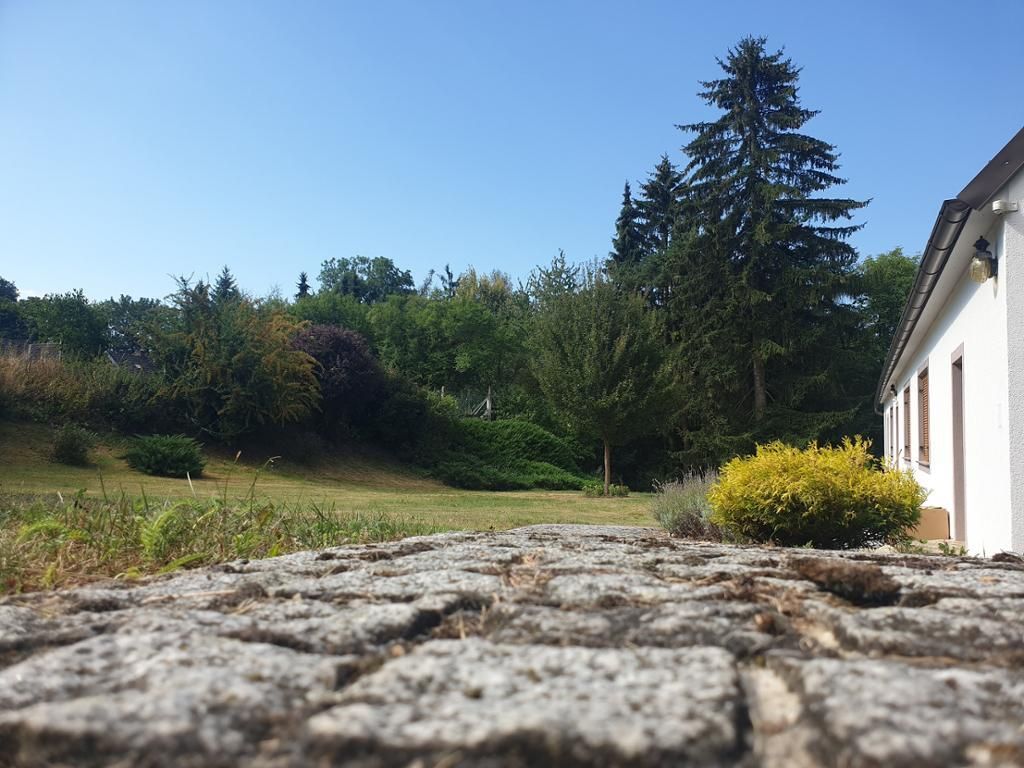 der Garten